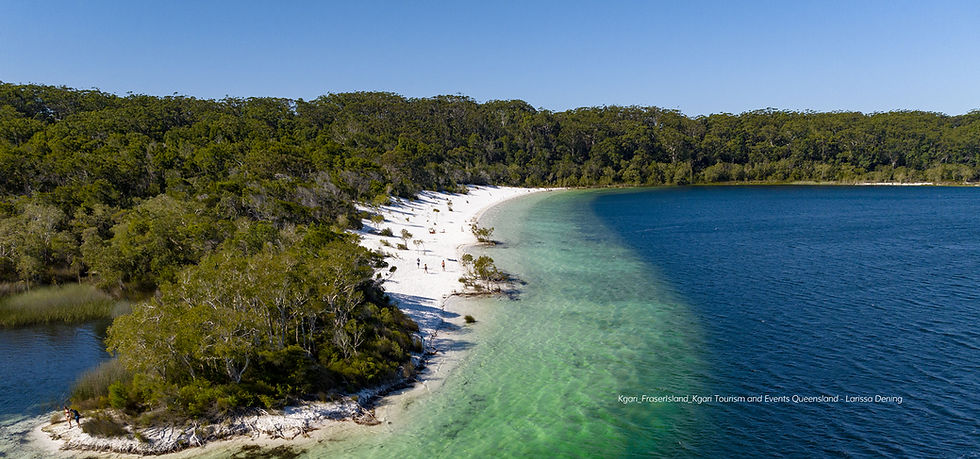 Home Regional Development Australia Wide Bay